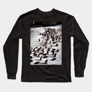 Colony of African Penguins, Boulder Beach, South Africa Long Sleeve T-Shirt